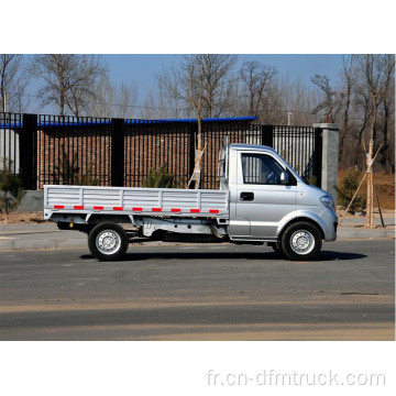 Dongfeng C31 cabine simple de camion de fret léger